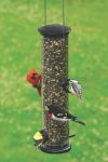 Birds eating from a bird feeder
