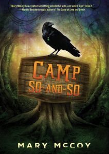 Camp So and So book cover