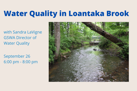 Water Quality in Loantaka Brook