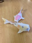 Teen Take & Make: Paper Koi Fish